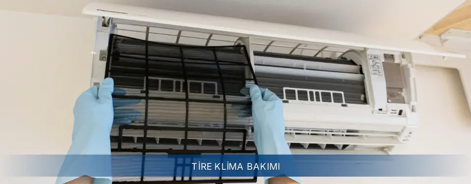Tire İlçemi Electrolux Klima Bakımı